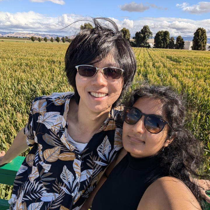 Corn Maze in Dixon